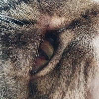 Ana Martínez Marqués