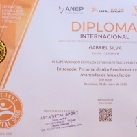 GABRIEL SILVA Perfil
